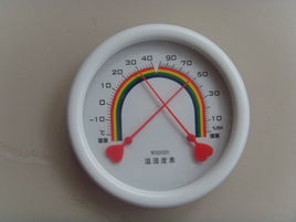 指针式干湿温度表