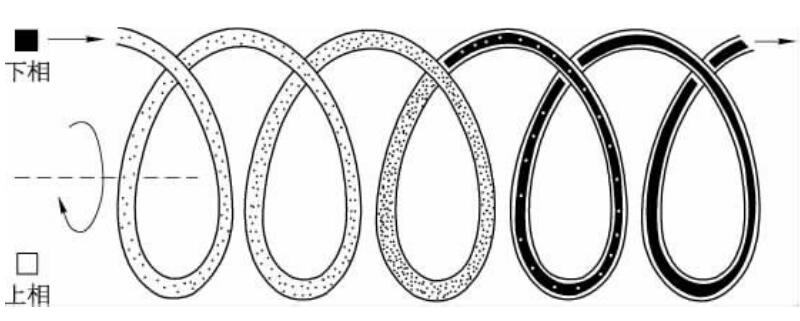两相溶剂在自转螺旋管里的分布图.jpg