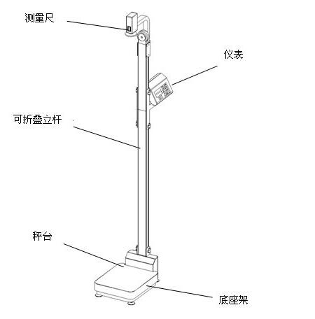 结构.jpg