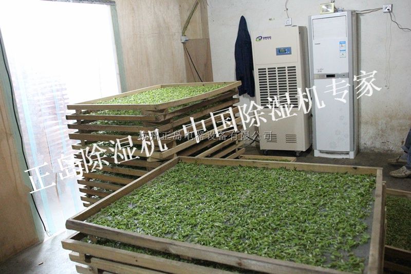 哪里有茶青除湿机出售-杭州正岛电器设备有限
