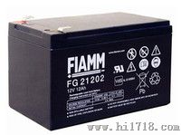 武汉蓄电池-FG系列6V/12V铅酸免维护蓄电池
