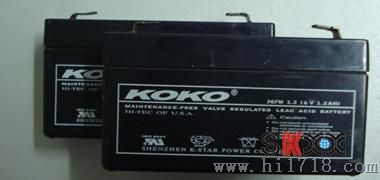 KOKO늳-KOKO늳AM12-100 12V100AH