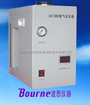 氢气发生器BN-LH-300
