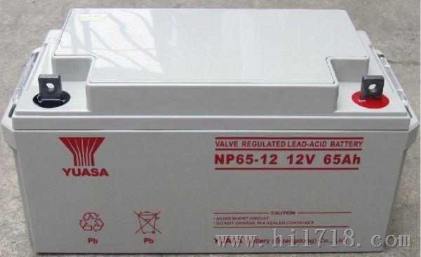 汤浅蓄电池NP100-12经销商