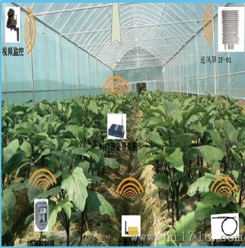 智能农业大棚物联网监测系统 农业温室土壤气
