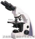 正置双目显微镜价格/生物显微镜N-300M