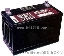 大力蓄电池MPS12-100重庆代理商