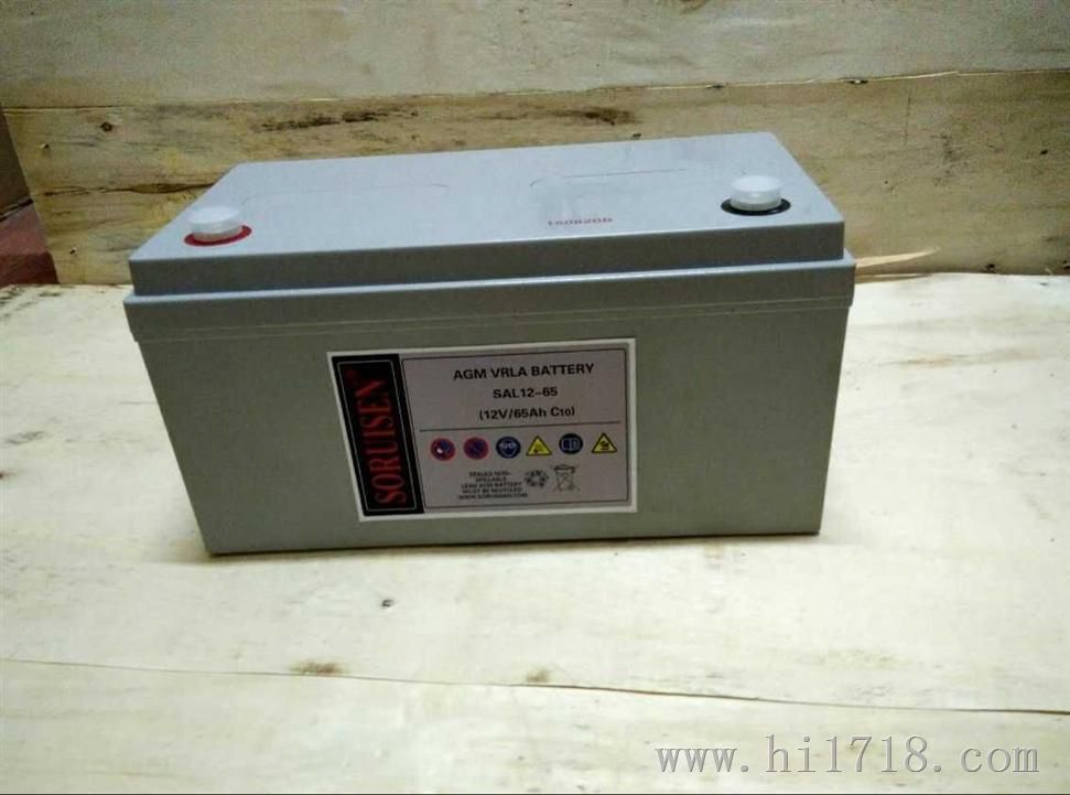 索瑞森蓄电池SAL12-100