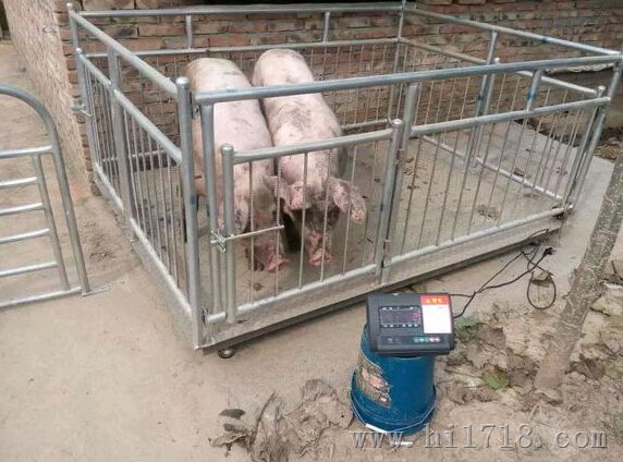 岳阳3吨称牛的电子秤的价格/带A12E称重显示器牲畜电子地磅