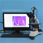 S500T-T510型电子生物显微镜 科研高校用光学显微镜 USB2.0相机