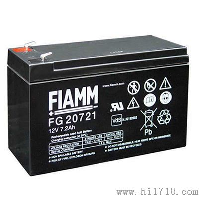  FIAMM FG系列蓄电池报价