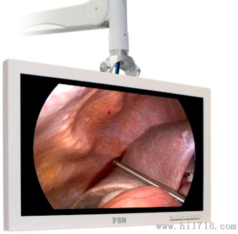 美国 FSN医疗显示器FS-P2602D