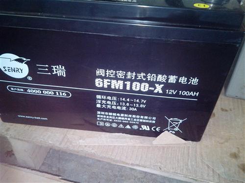 三瑞12V100AH.jpg