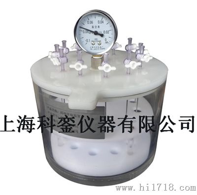 固相萃取厂家 固相萃取仪价格QSE-12D上海科銮
