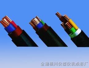 耐热硅橡胶绝缘及护套控制电缆_耐热硅橡胶绝缘及护套控制电缆选型 /江苏 /定制