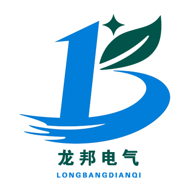 无棣龙邦电气有限公司