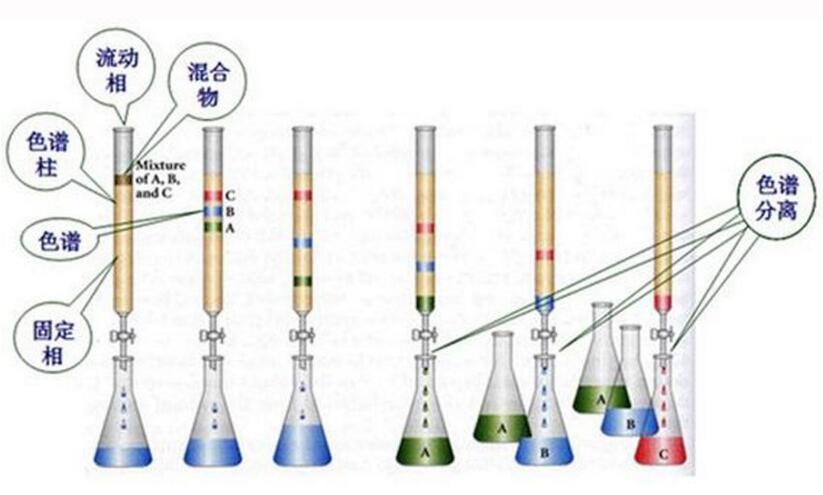 液相色谱柱结构图片