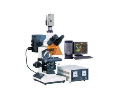 荧光显微镜的性能特点是怎样的？