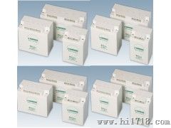 HC系列德国松树蓄电池12V120AH报价