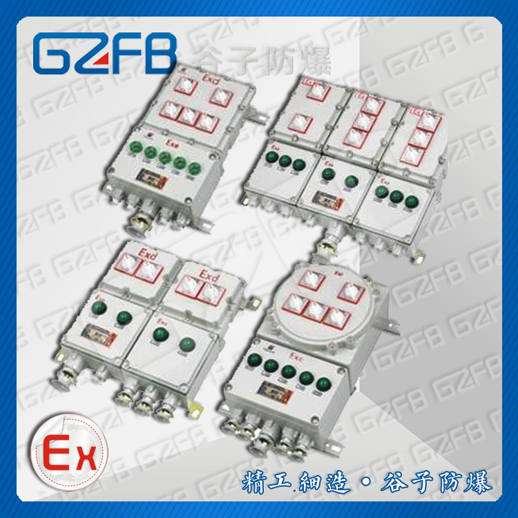 3-12BXM防爆照明配电箱(立脚式）.jpg