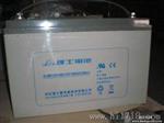 广东理士蓄电池DJM12-38