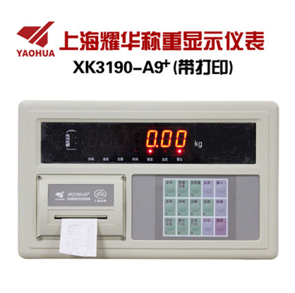 XK3190-A9+P.png