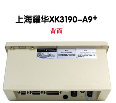 XK3190-A9+P背面.jpg
