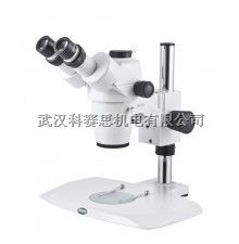 研究级体视显微镜