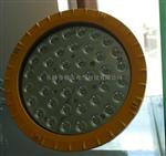 30W爆LED灯 爆LED灯50W