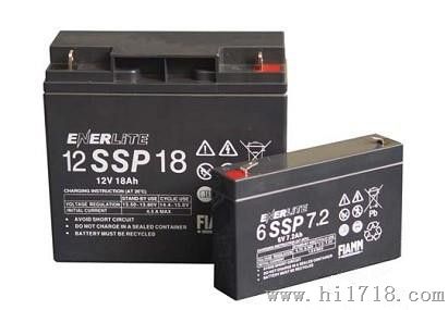 蓄电池-SSP小型蓄电池系列产品供应