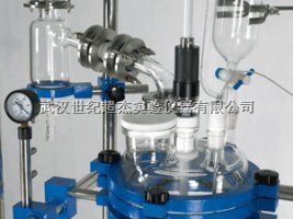 宜昌 双层玻璃反应釜 CJ-100L