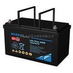 路盛蓄电池12LPA100报价参数，面向销售！