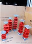 FZSW3-100/10复合支柱缘子