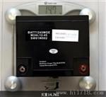 梅兰日兰蓄电池M2AL12-100