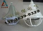 尘弯灯FAD-L-100B1Z水尘腐灯壁式100W三灯
