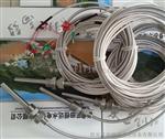 测温电阻WZP-230/230铂热电阻WZP2-200/269