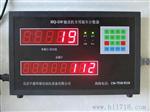 湖北HQ-210皮带输送机计数器