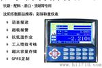 电子铲车秤