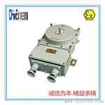 BQD-DIP粉尘爆磁力启动器