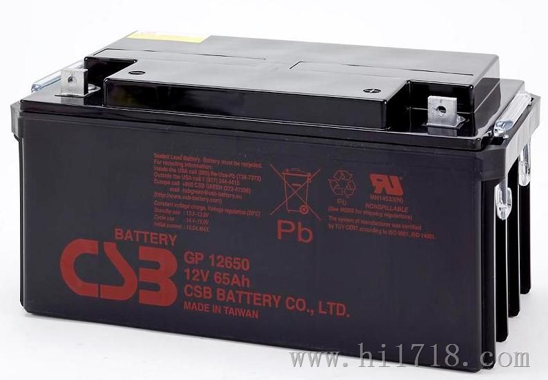 C电池 GP12650(12V65AH)