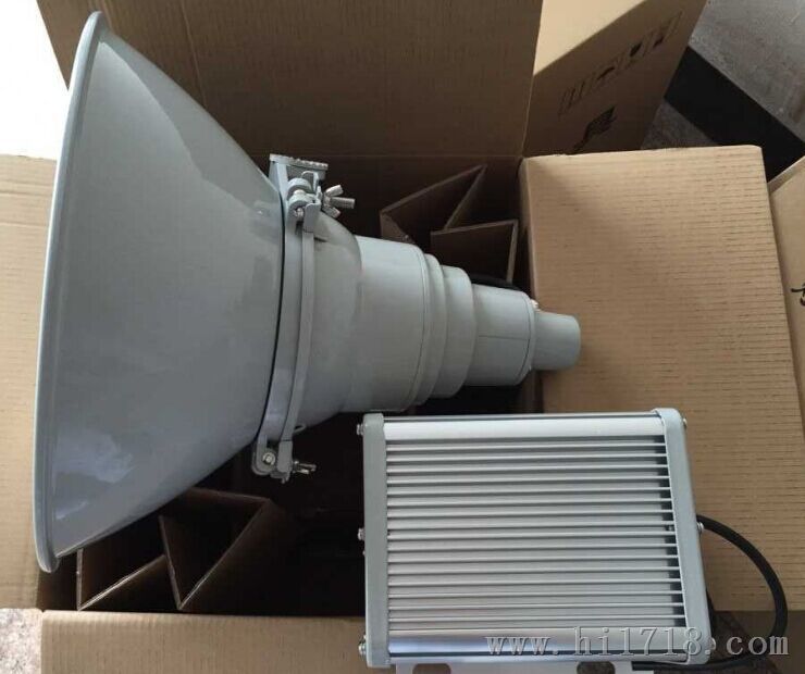 250W水尘震投光灯/化工厂NTC9210-1x250W 220V墙挂投光灯