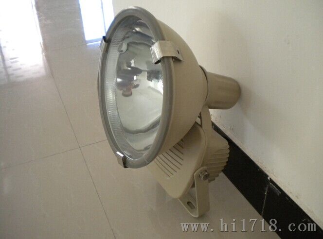 250W水尘震投光灯/化工厂NTC9210-1x250W 220V墙挂投光灯
