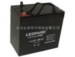 LEOPARD美洲豹蓄电池厂家报价