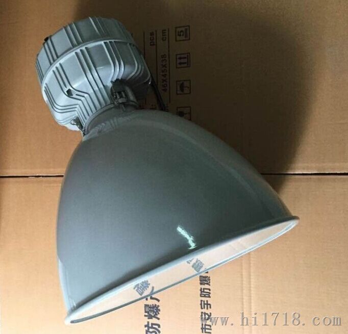 吸顶式震投光灯250W 220V/IP65 三投光灯NZT6910-L250W 1x250W
