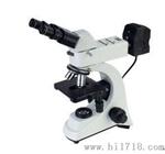 FLY2003金相显微镜