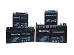 原装山特蓄电池12V24AH百
