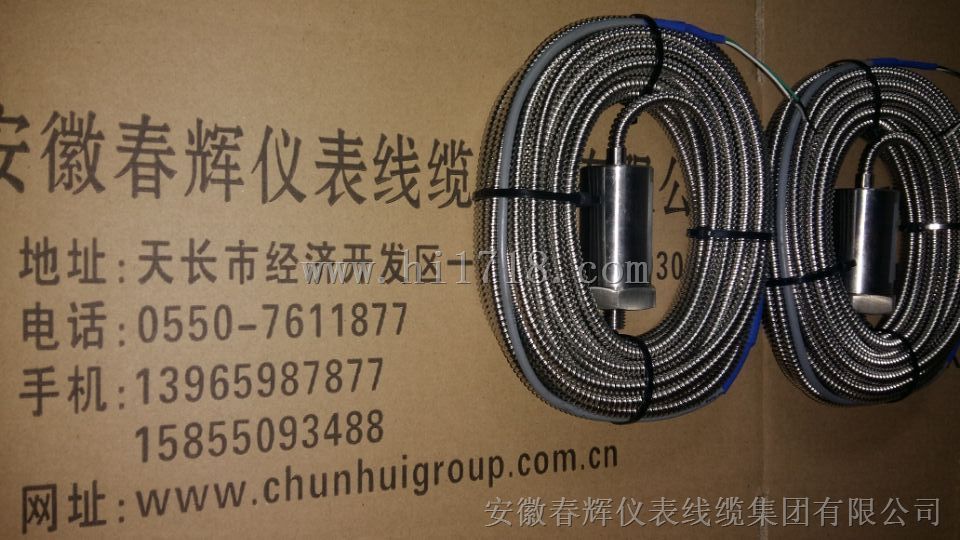 CD-21磁电速度传感器， BCD-21防爆磁电式速度传感器