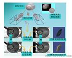 DIC数字散斑三维变形测量与分析系统