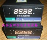 WP-C803智能温度监测控制仪WP-C803-71-23-HH-L