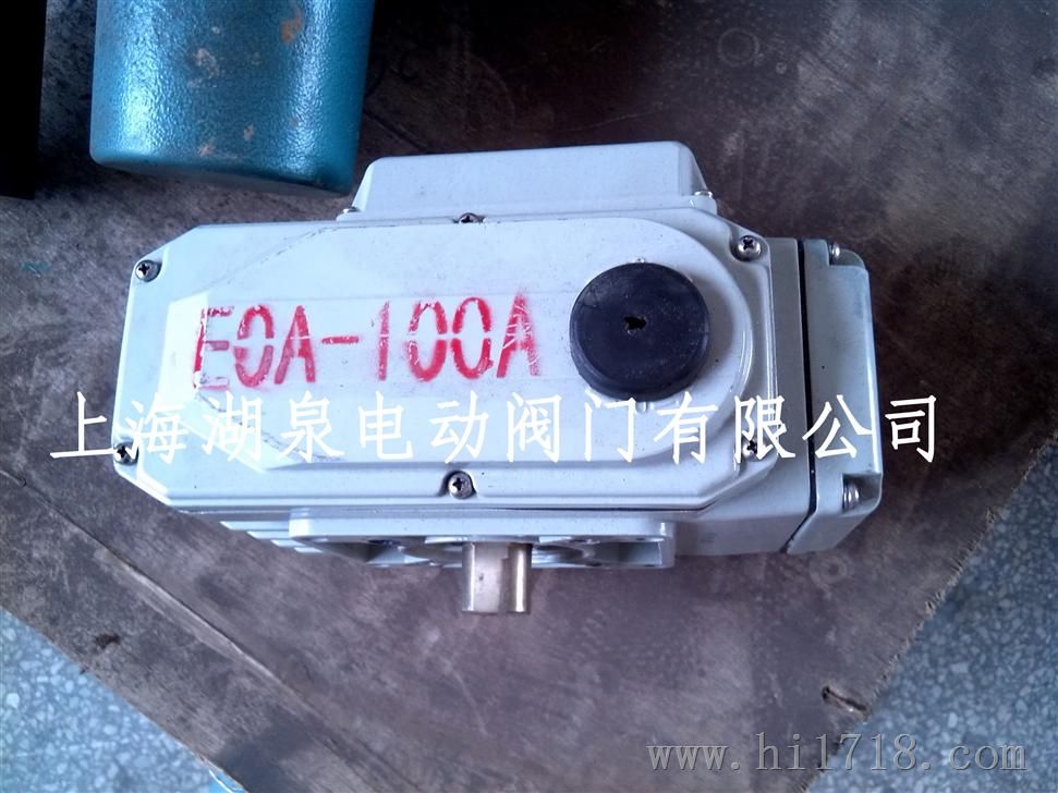 调节型电动装置